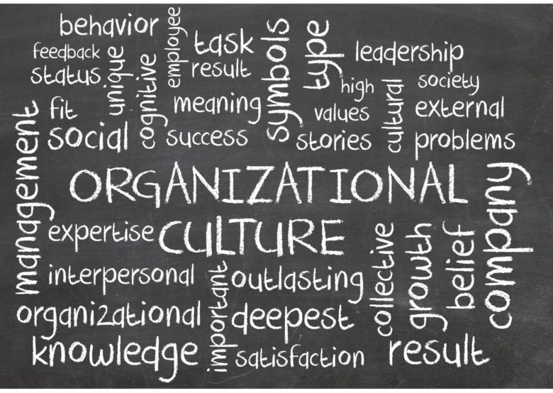 Organisation culture
